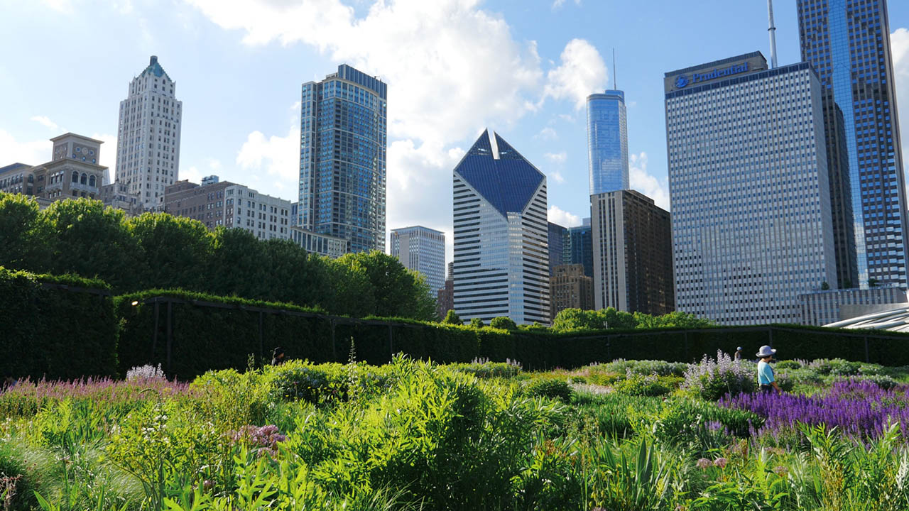 Five Things to Do in Chicago in the Month of June See It Chicago